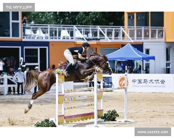 全运会现代五项马术抽签制度升级 马匹福利成为赛事重要考核指标